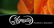 Agustín Floristas